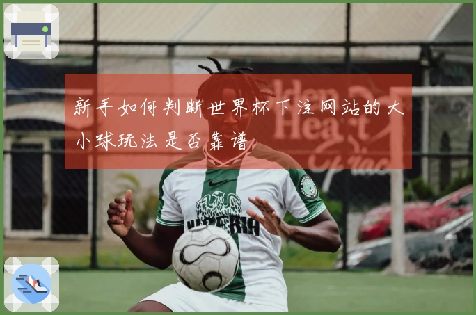 新手如何判断世界杯下注网站的大小球玩法是否靠谱