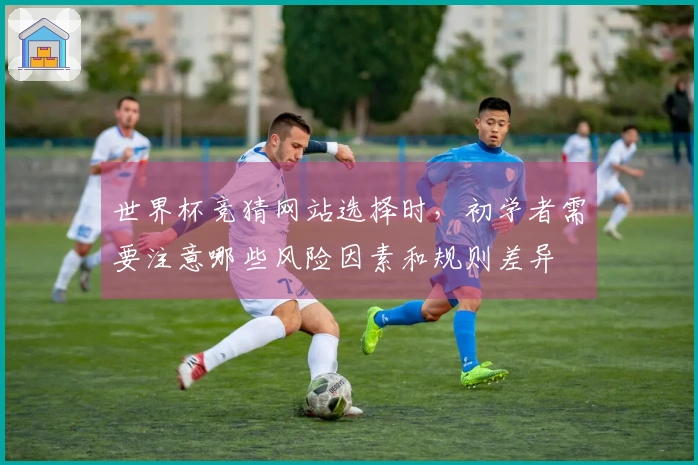 世界杯竞猜网站选择时，初学者需要注意哪些风险因素和规则差异