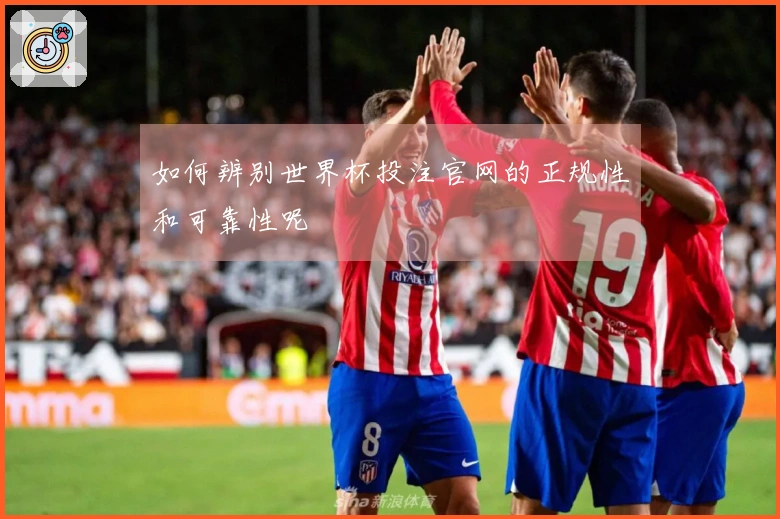 如何辨别世界杯投注官网的正规性和可靠性呢