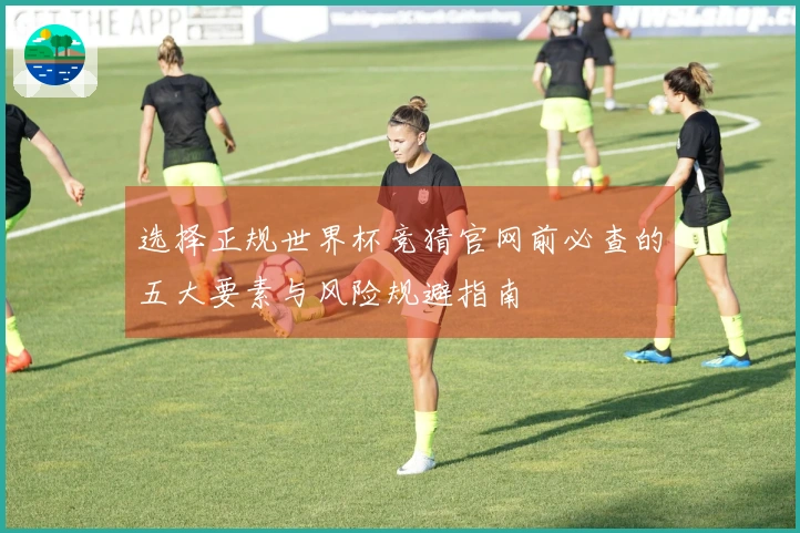 选择正规世界杯竞猜官网前必查的五大要素与风险规避指南