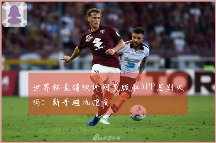 世界杯竞猜软件网页版和APP差别大吗：新手避坑指南