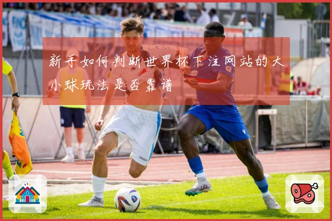新手如何判断世界杯下注网站的大小球玩法是否靠谱