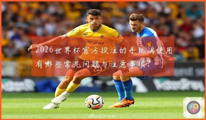 2026世界杯官方投注的手机端使用有哪些常见问题与注意事项？