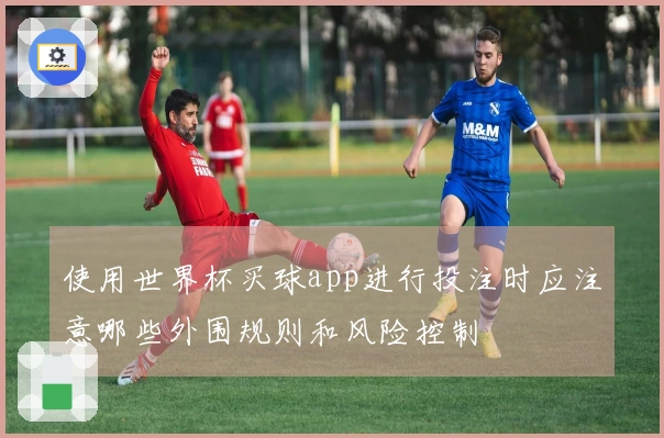 使用世界杯买球app进行投注时应注意哪些外围规则和风险控制
