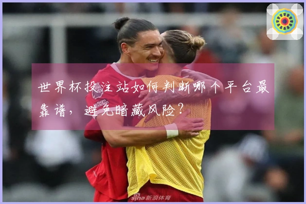 世界杯投注站如何判断哪个平台最靠谱，避免暗藏风险？