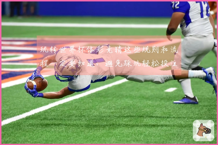 玩转世界杯体彩竞猜这些规则和流程一定要知道，避免踩坑轻松投注