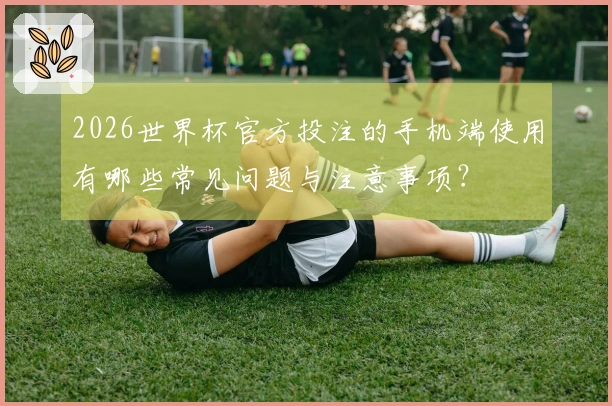 2026世界杯官方投注的手机端使用有哪些常见问题与注意事项？